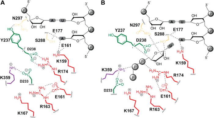 FIGURE 14.