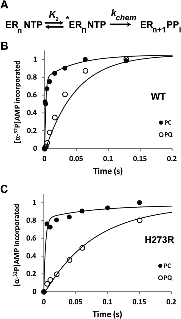 FIGURE 13.