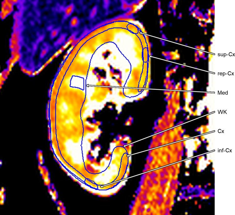 Fig. 2