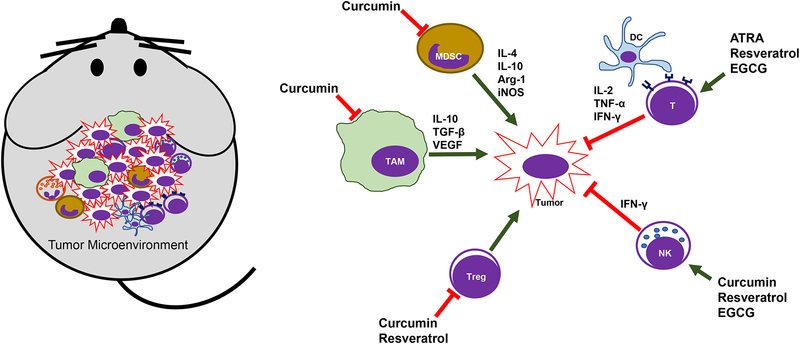 Figure 2: