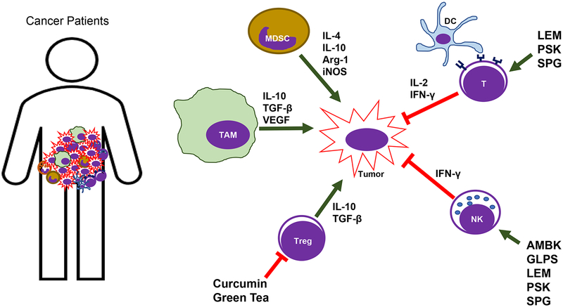 Figure 1: