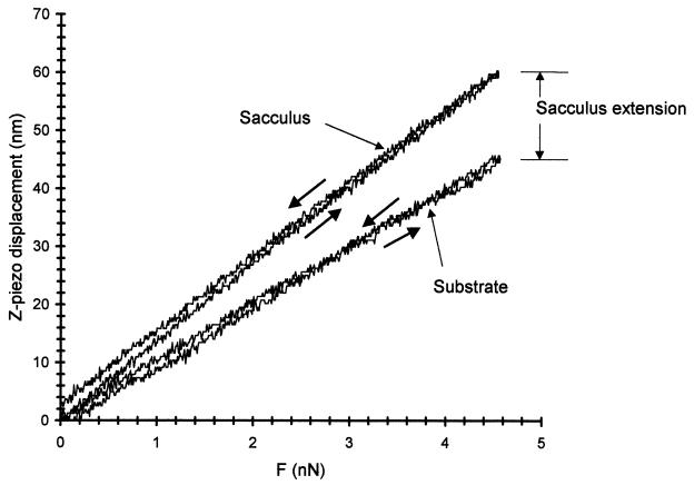 FIG. 8