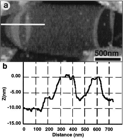 FIG. 4