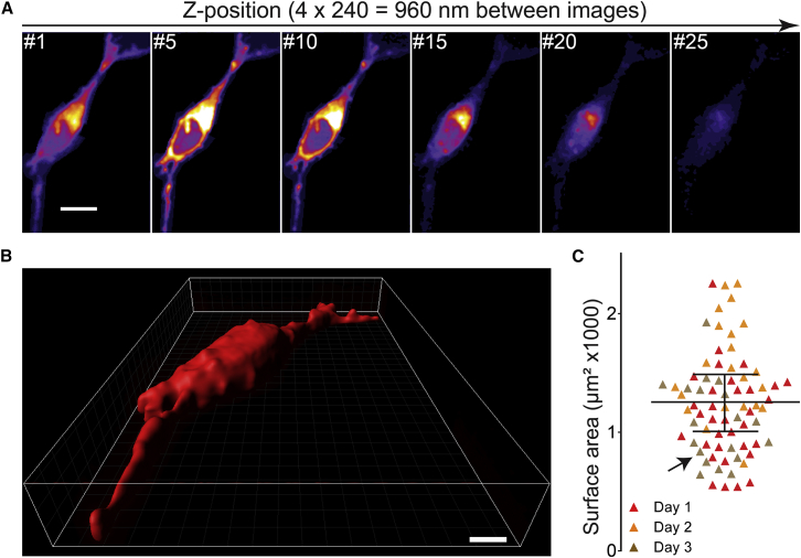 Figure 2