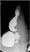 graphic file with name 464_2018_6121_Figau_HTML.jpg