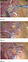 graphic file with name 464_2018_6121_Figbo_HTML.jpg