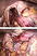 graphic file with name 464_2018_6121_Figdn_HTML.jpg