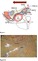 graphic file with name 464_2018_6121_Figbn_HTML.jpg