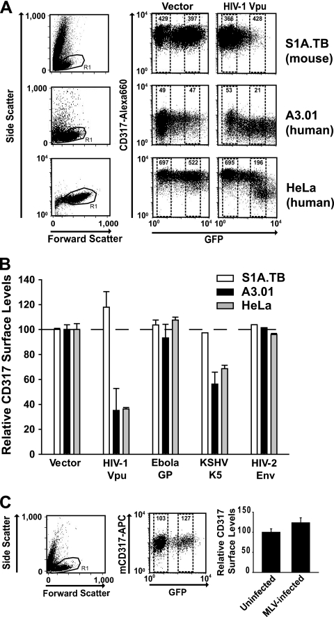 FIG. 6.