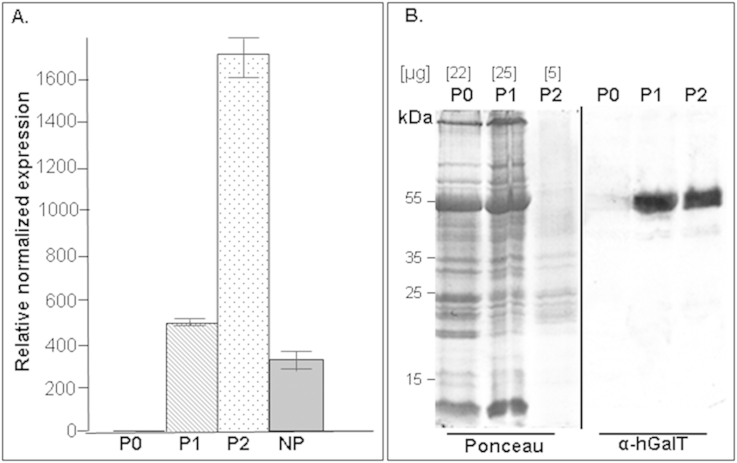 Fig. 3