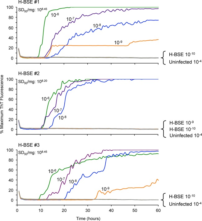 FIG 3