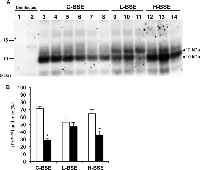 FIG 7