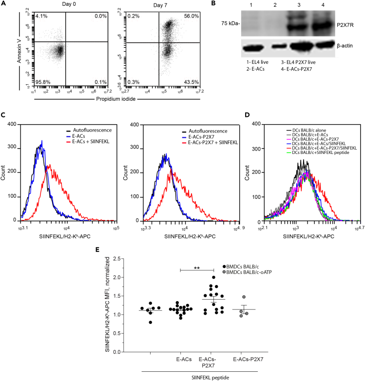 Figure 3