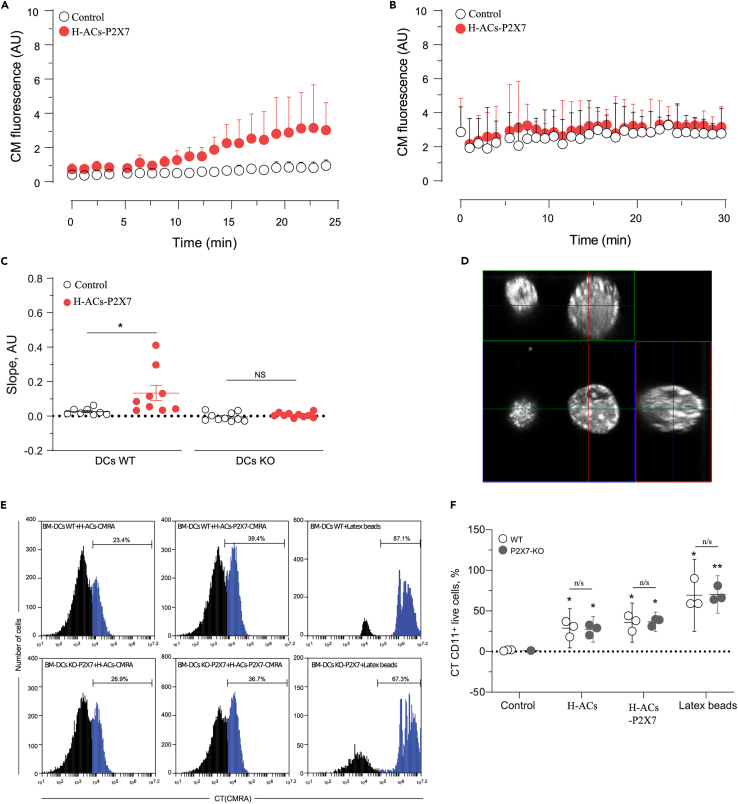 Figure 2