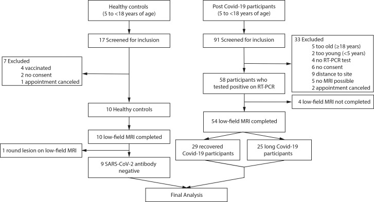 Flowchart of the study. RT-PCR = reverse transcriptase–polymerase chain reaction.