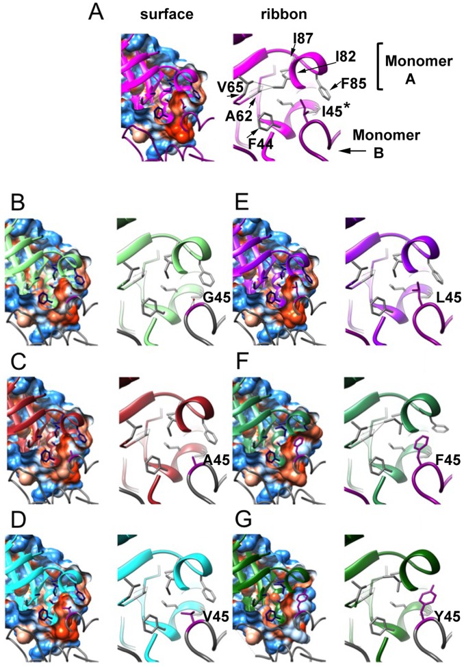 Fig 6