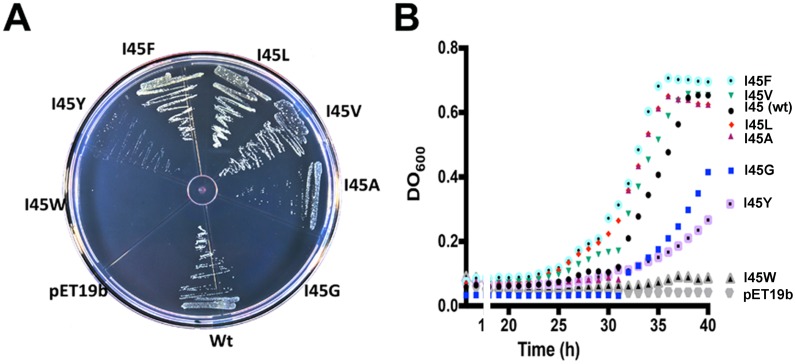 Fig 3