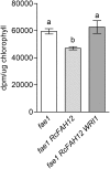 Figure 6.