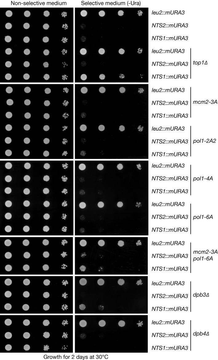 Figure EV3