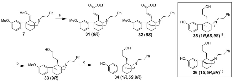 Scheme 5