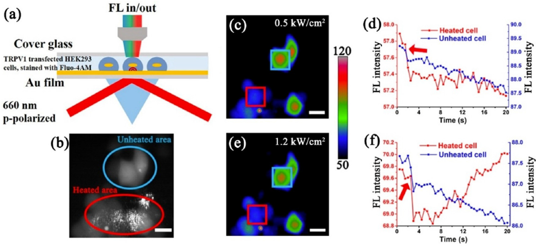 Figure 12.