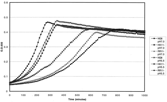 FIG. 2.