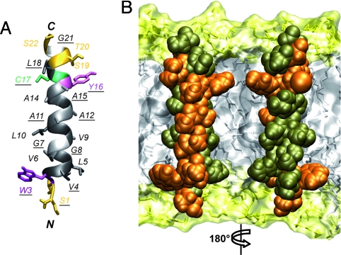 Fig. 2.