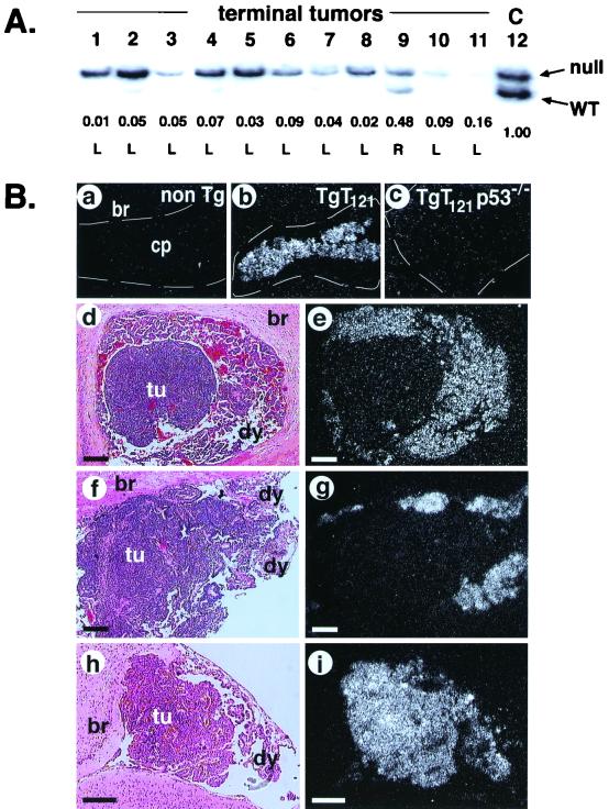 FIG. 5