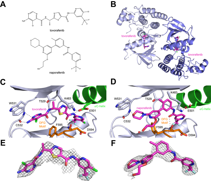 Figure 3