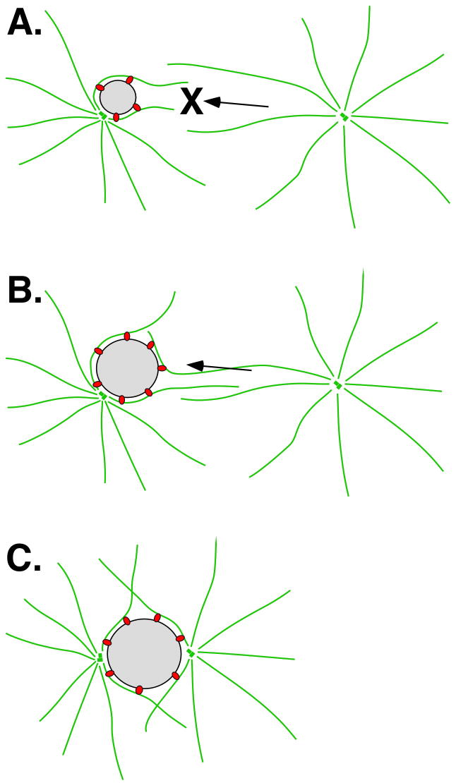 Fig. 10