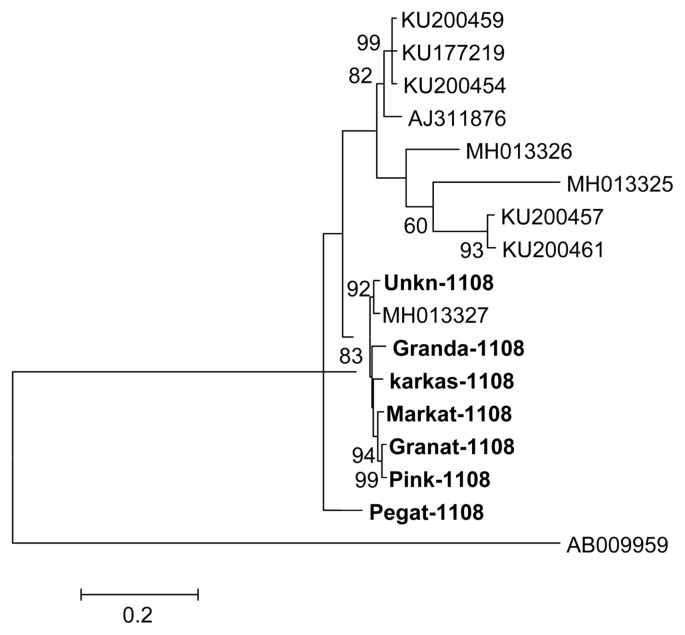 Fig. 2