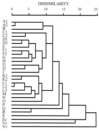 FIG. 6