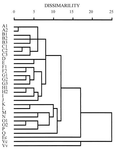 FIG. 7