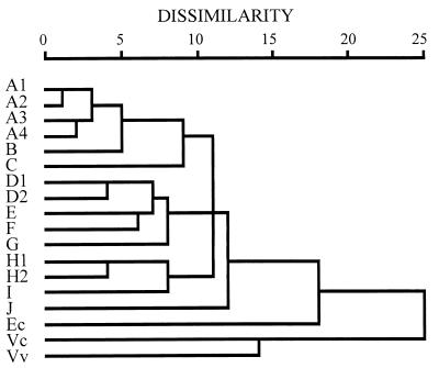 FIG. 5