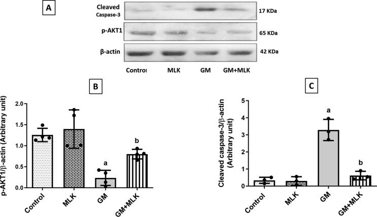 Fig. 4