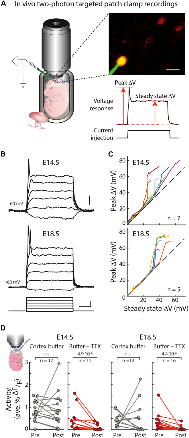 Figure 4