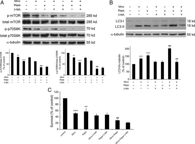 Fig. 6.