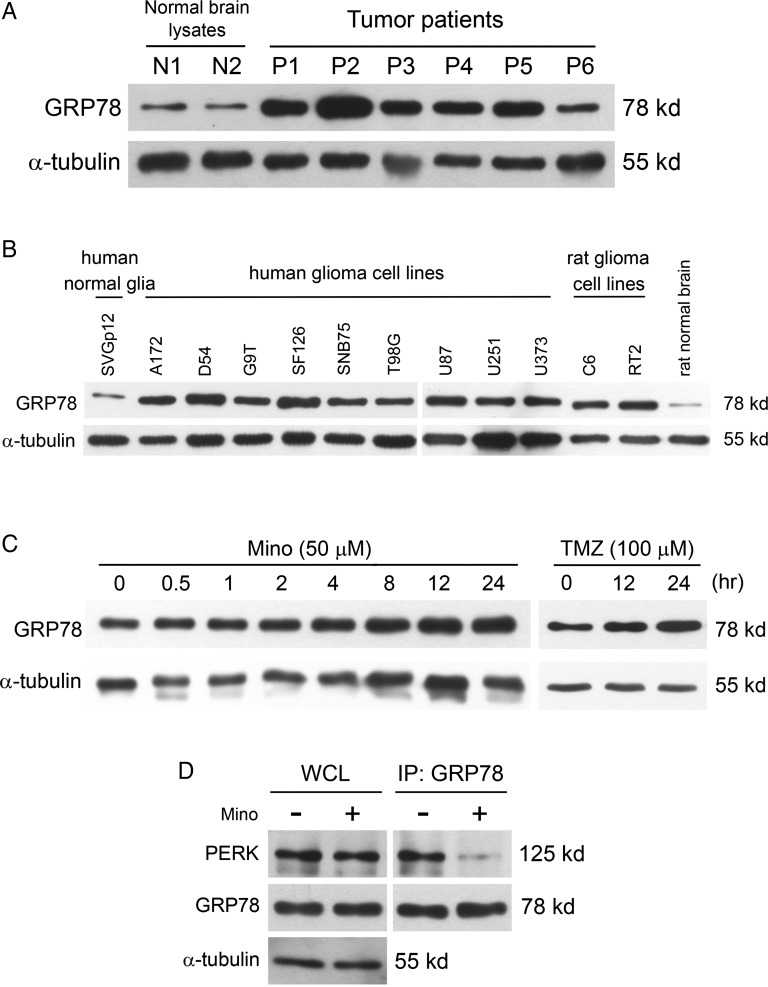 Fig. 2.