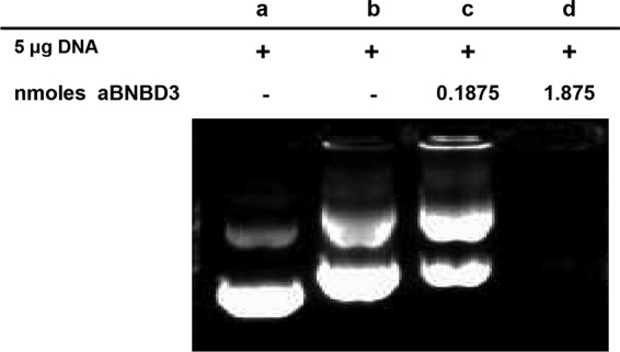 FIG 3