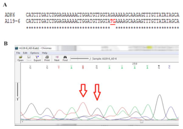 Figure 2