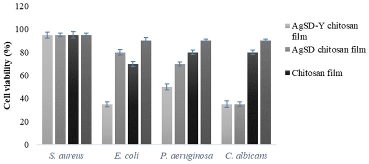 Figure 13