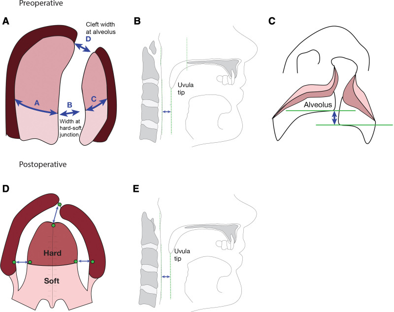 FIG. 2.