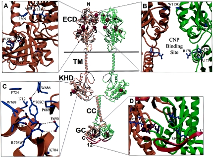 Figure  3