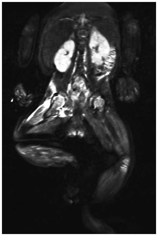 Figure 2.