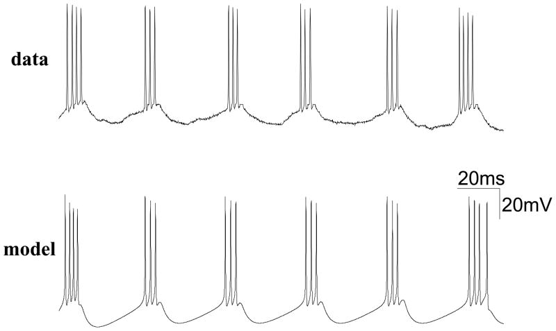 Figure 5