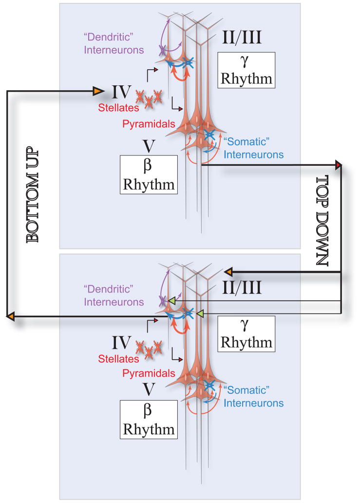 Figure 19