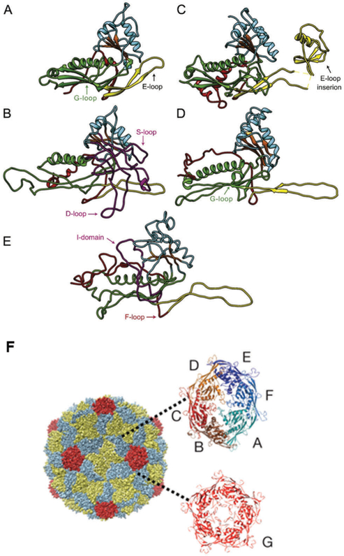 Fig. 8