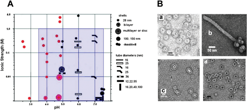 Fig. 13