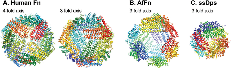 Fig. 6