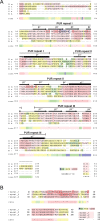 Figure 2—figure supplement 4.